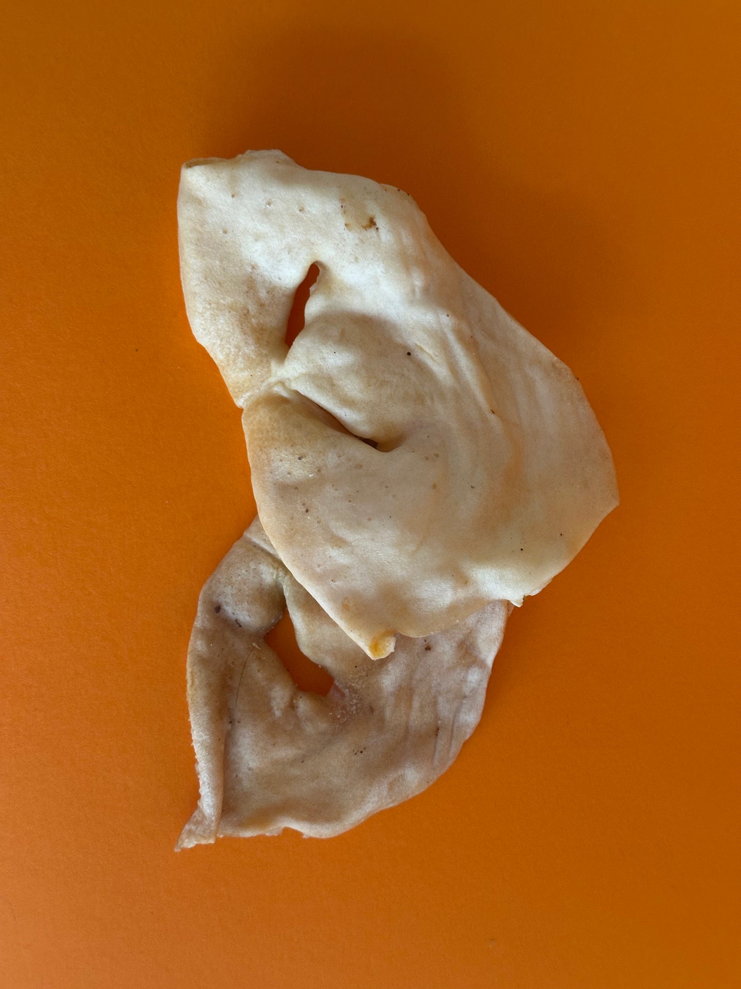 Lamb Snouts