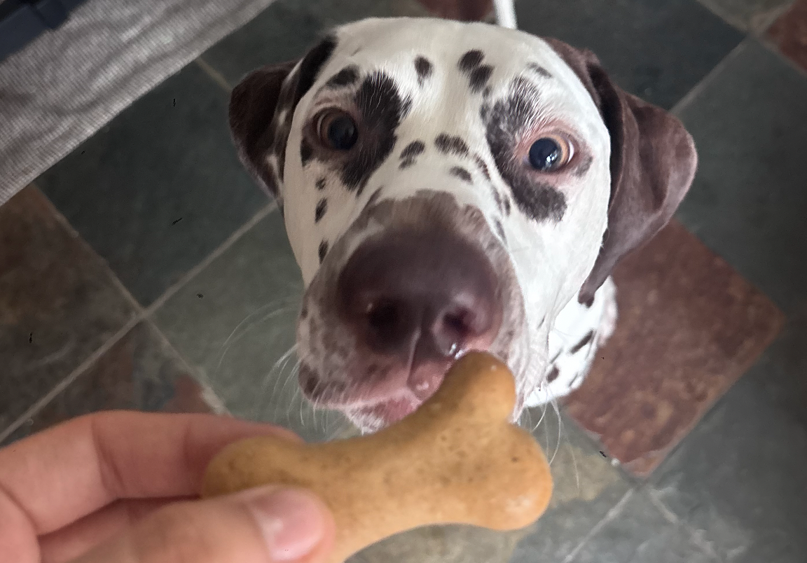 Banana & Peanut Butter Biscuit Bones