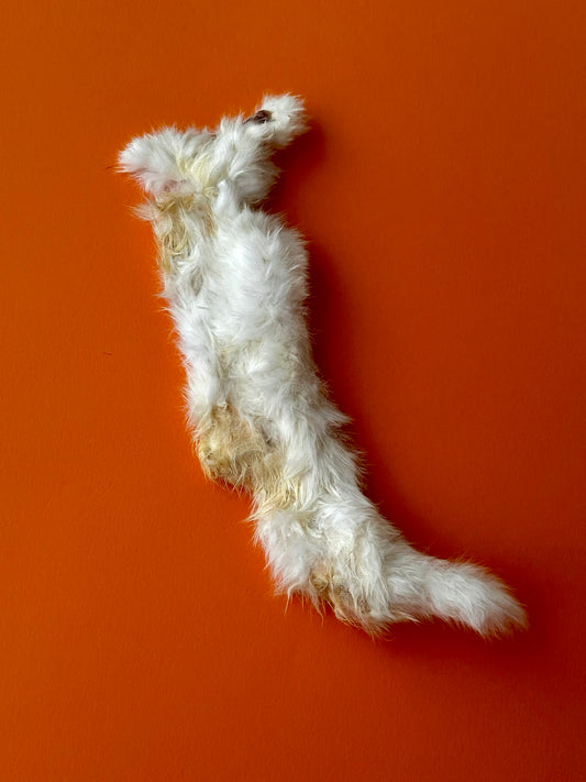 Rabbit Skin Rolls