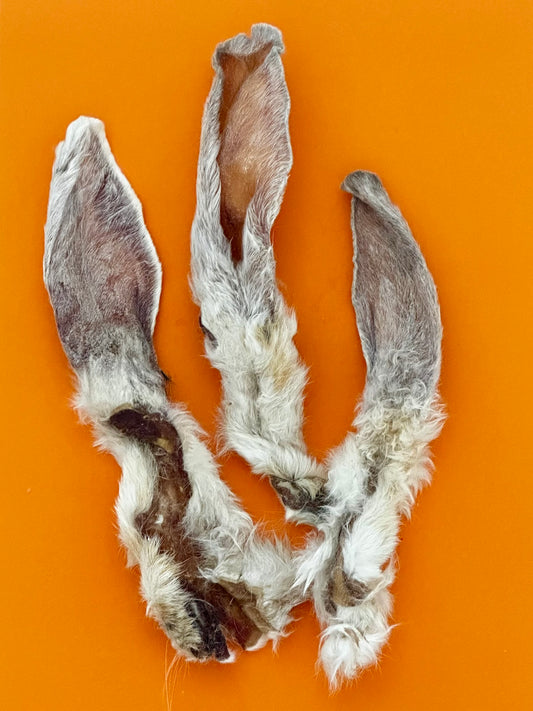 Rabbits Ears (each)