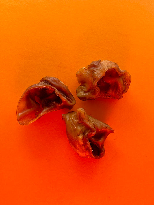 Porky Bites (Pork Auricle)