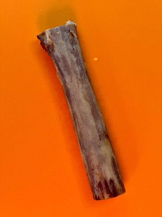 Ostrich Marrow Bones