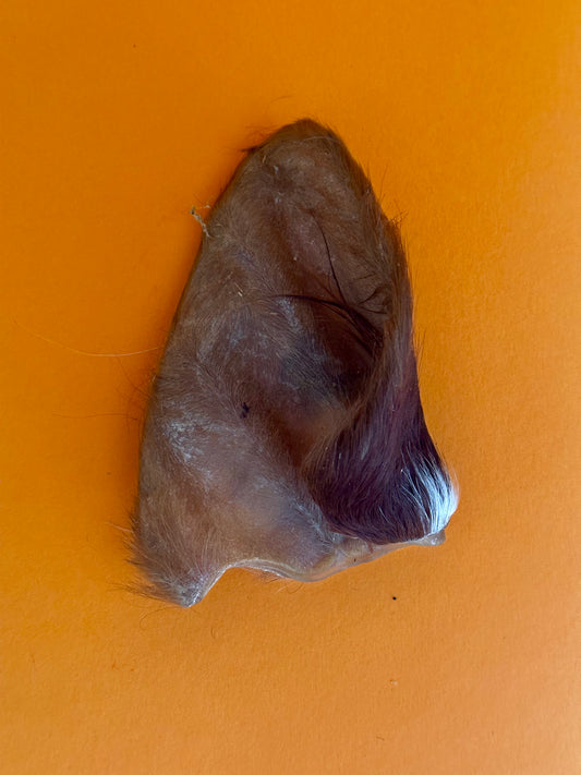 Cows Ears with Fur