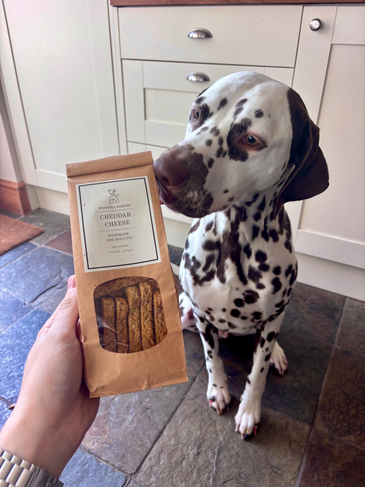 Cheddar Cheese Handmade Dog Biscuits