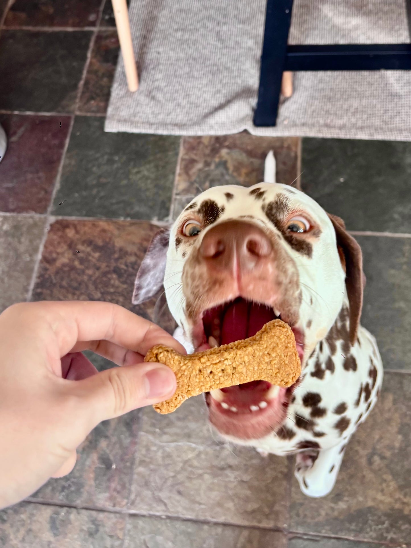 Cheddar Cheese Handmade Dog Biscuits