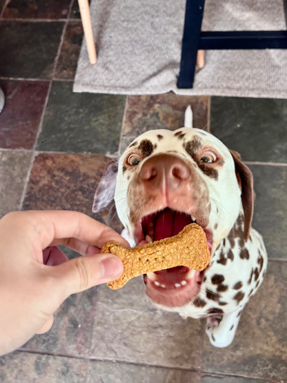 Cheddar Cheese Handmade Dog Biscuits