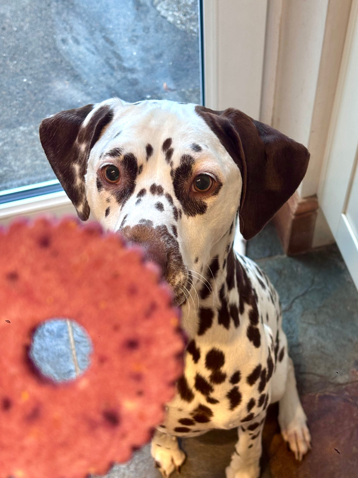 Berry Grain Free Cookie