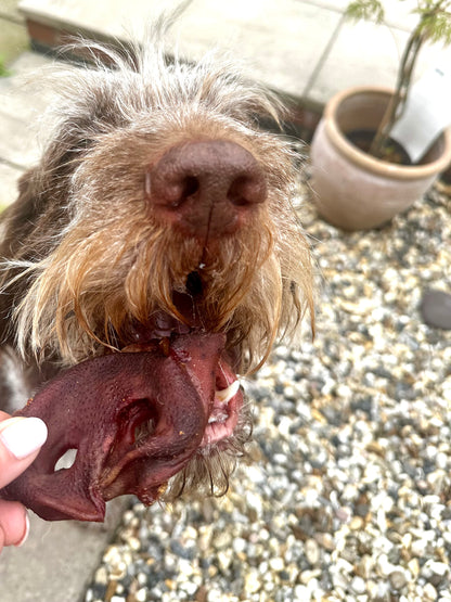 Porky Snout
