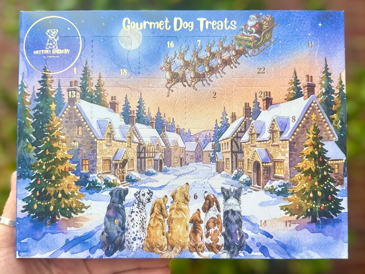 Advent Calendar For Dogs