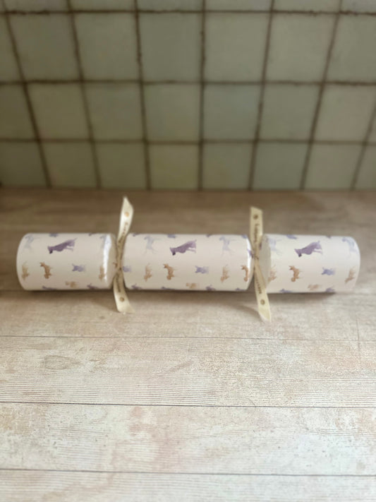 Turkey and Cranberry Sausage Christmas Cracker