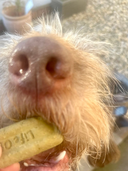 Life of Riley Dental Sticks