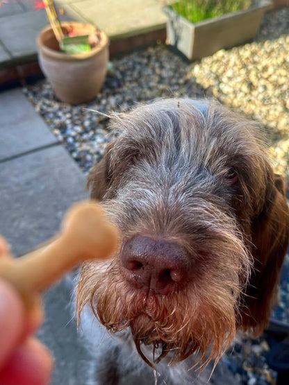 Apple and Banana Bone Shaped Biscuits