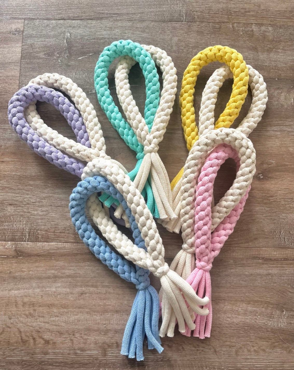 Interactive Loop Dog Toy.