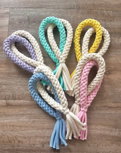 Interactive Loop Dog Toy.