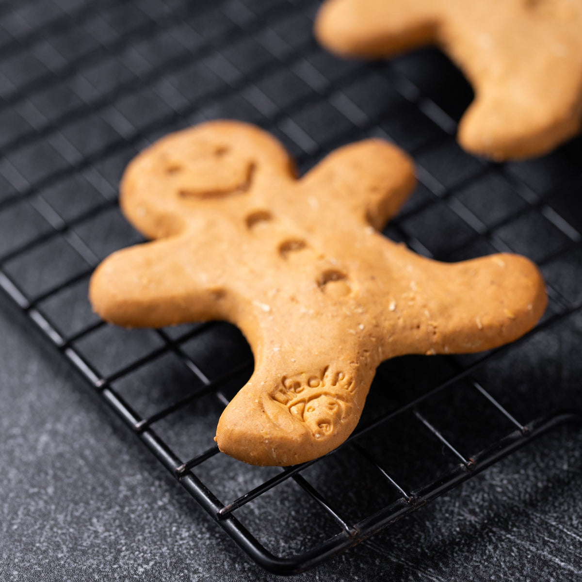 Gingerbread Man Dog Treat
